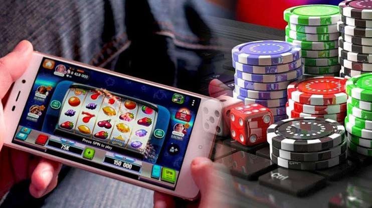 55 kd bet
